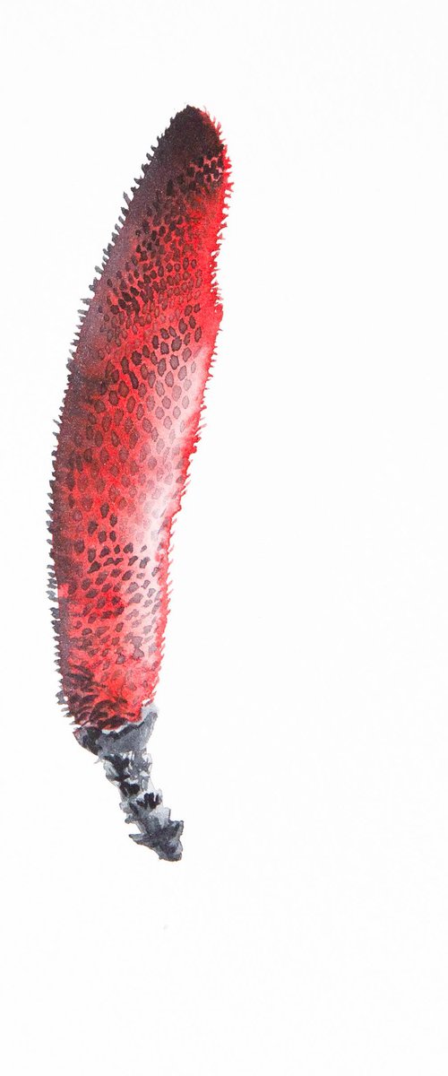 cone by Anna Belousova
