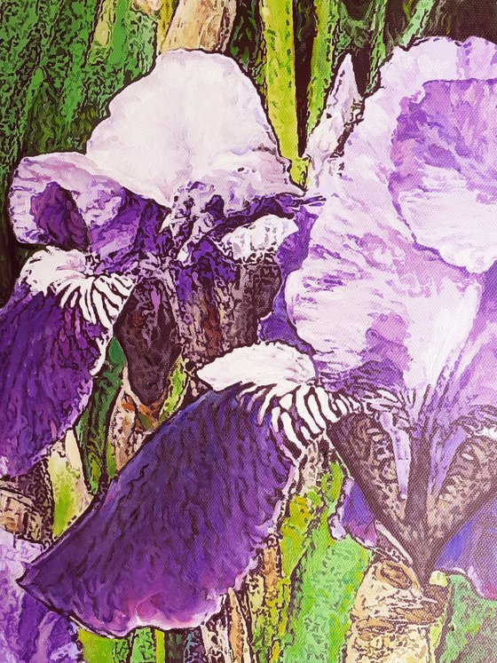 SUMMER RAIN / IRISES