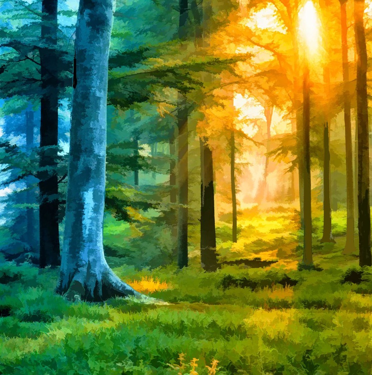 Flaming Sun Through The Trees Artfinder
