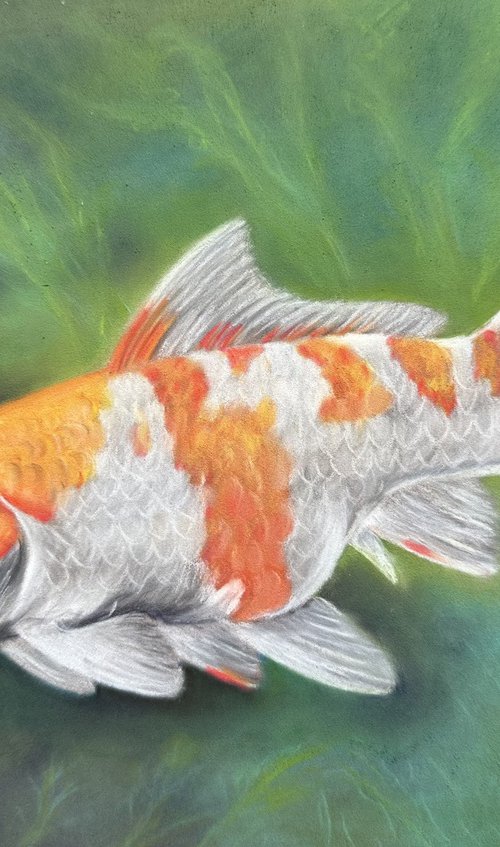 Koi fish by Maxine Taylor