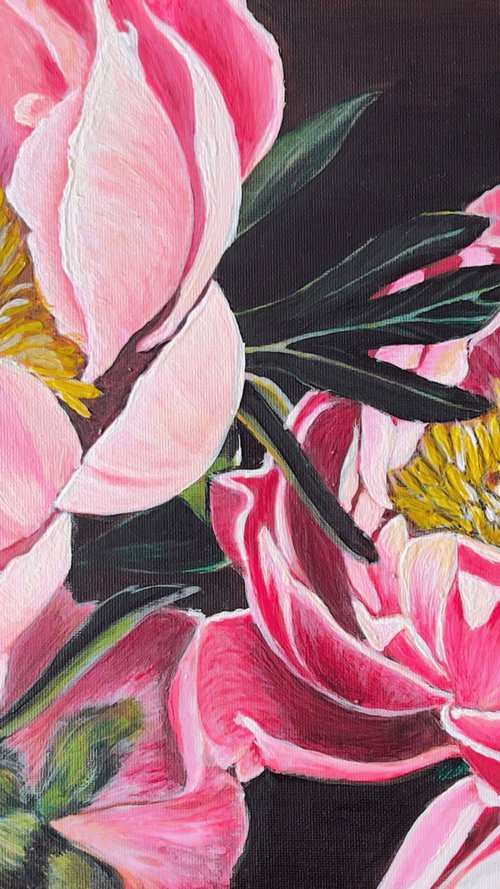 Pink Peony in the Night by Elena Bogatova