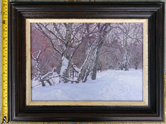 February. Alley in Tsaritsyno Park