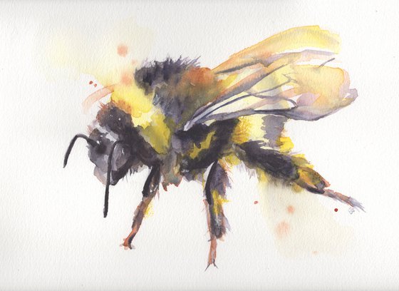 Watercolour Bee 4