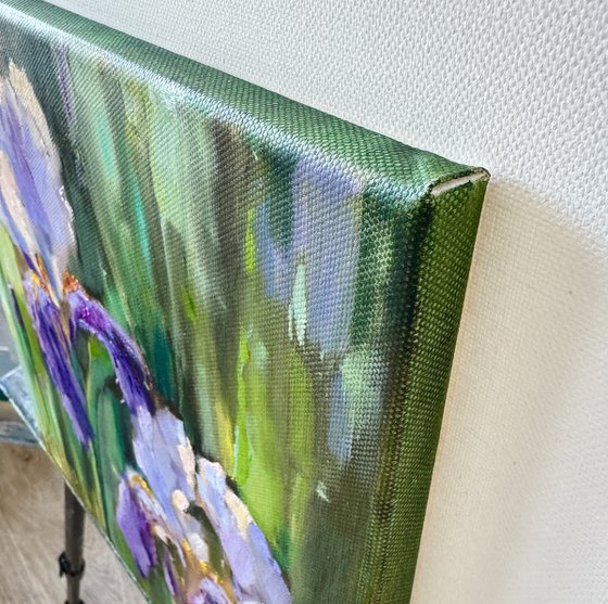 Rhythm of Irises