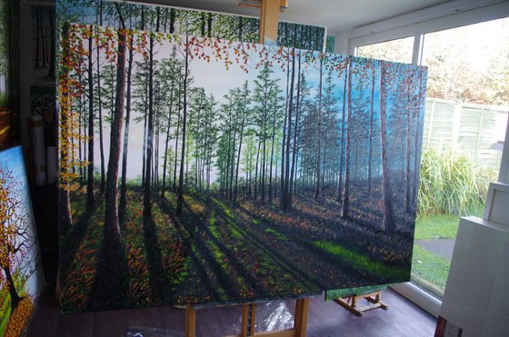 Startling Afternoon shadows.