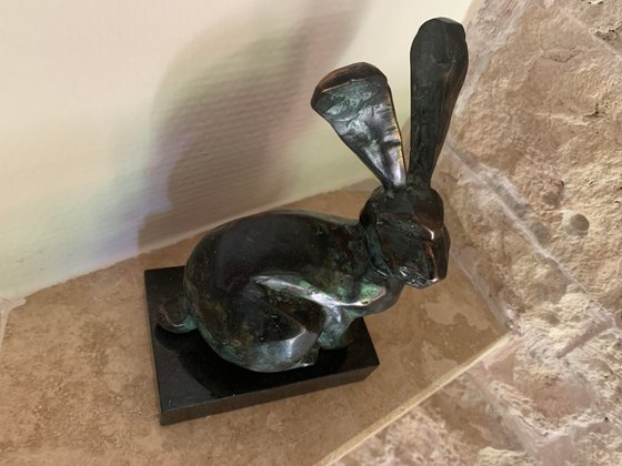 Rabbit