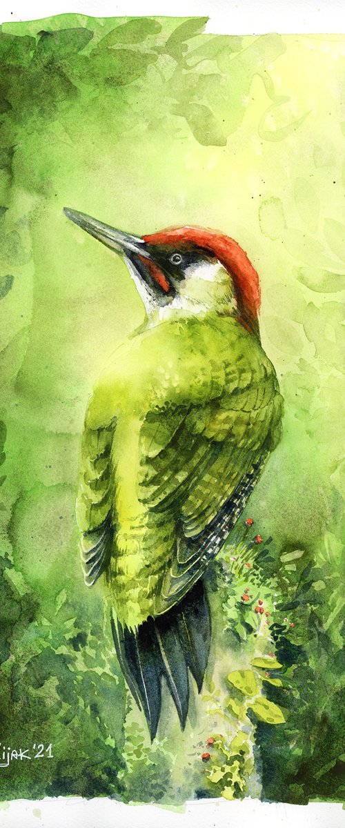 Green woodpecker, watercolor of birds and wildlife by Karolina Kijak