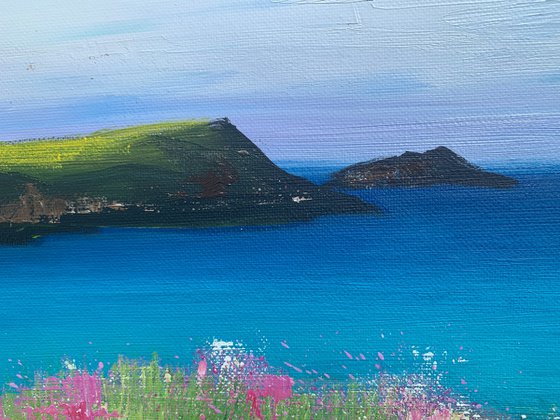 Wild Flowers at Polly Joke II