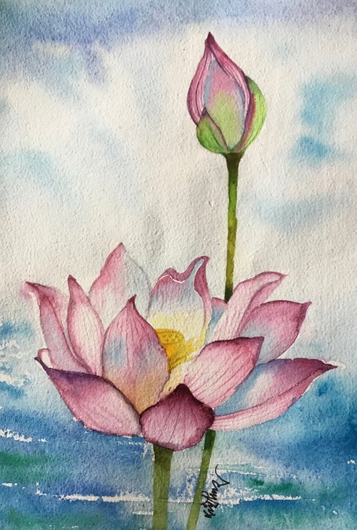 Water lily by SANJAY PUNEKAR