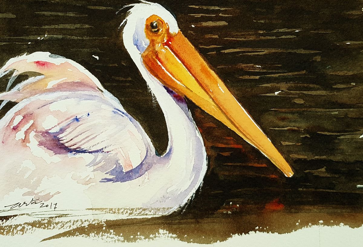 White Pelican by Arti Chauhan
