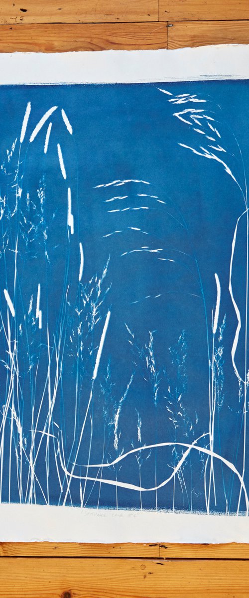 Spithandle Lane #4 (Cyanotype) by Ed Watts