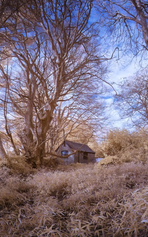 The Hut in the woods by Paul Nash