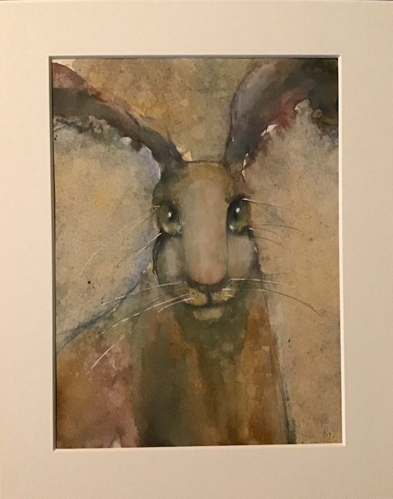 HETTIE HARE