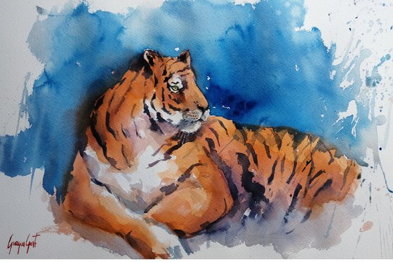 tiger 7
