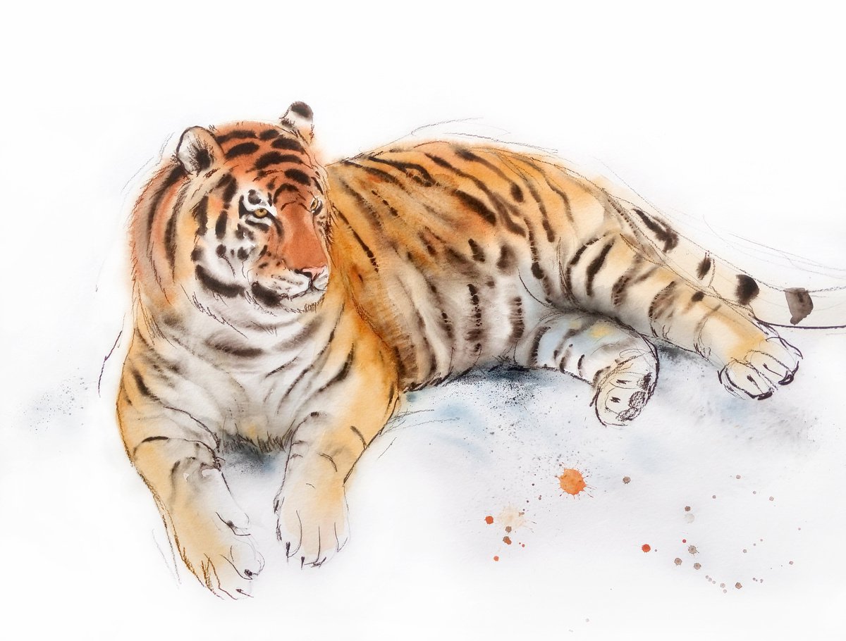 Tiger in the Snow - Siberian Tiger – Amur tiger Watercolour by Olga ...