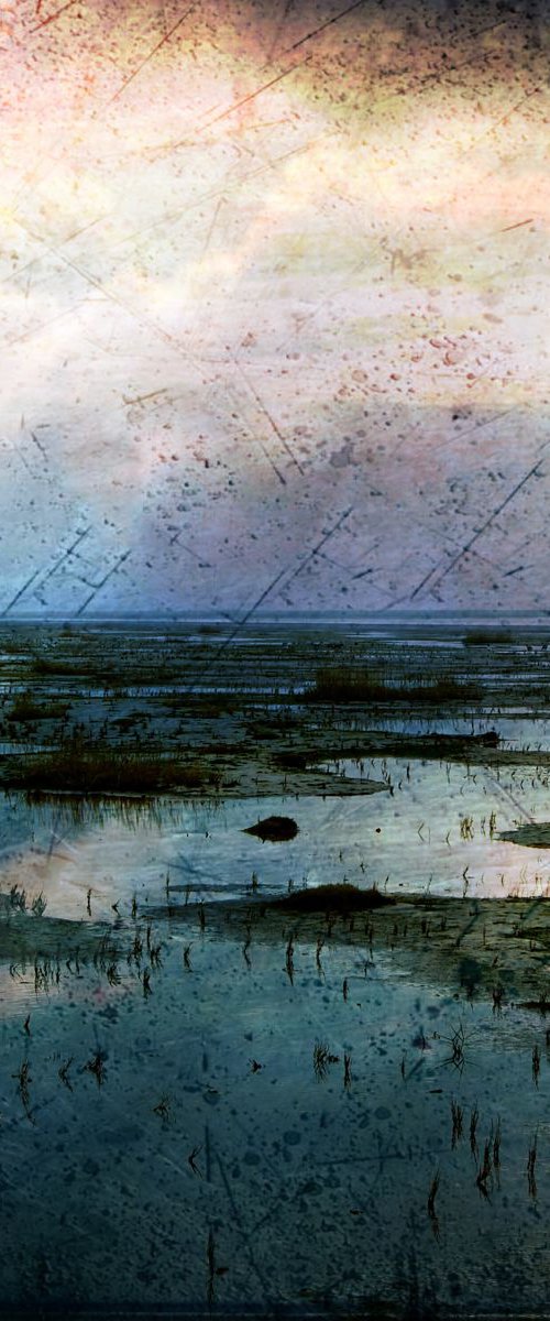 Friesland shore by Boris Novák