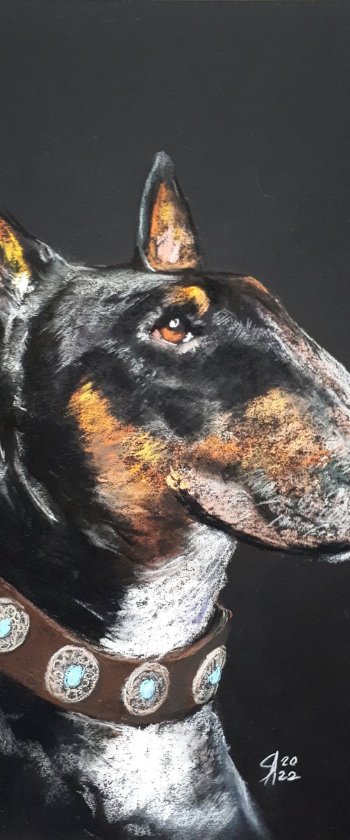 Bull terrier... From the Animal Portraits series /  ORIGINAL PAINTING by Salana Art Gallery