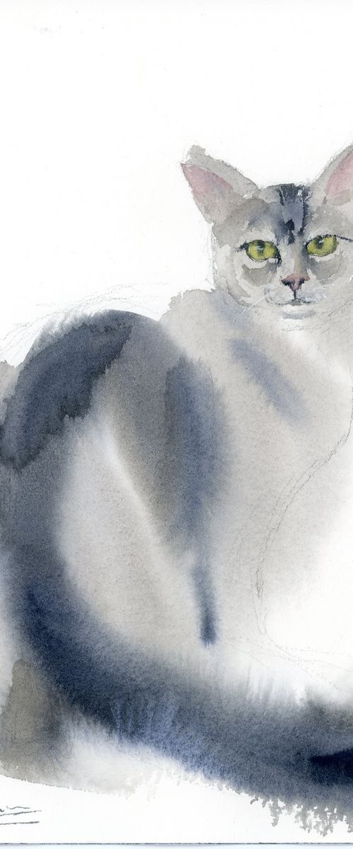 Minimalistic cat #6 by Olga Tchefranov (Shefranov)