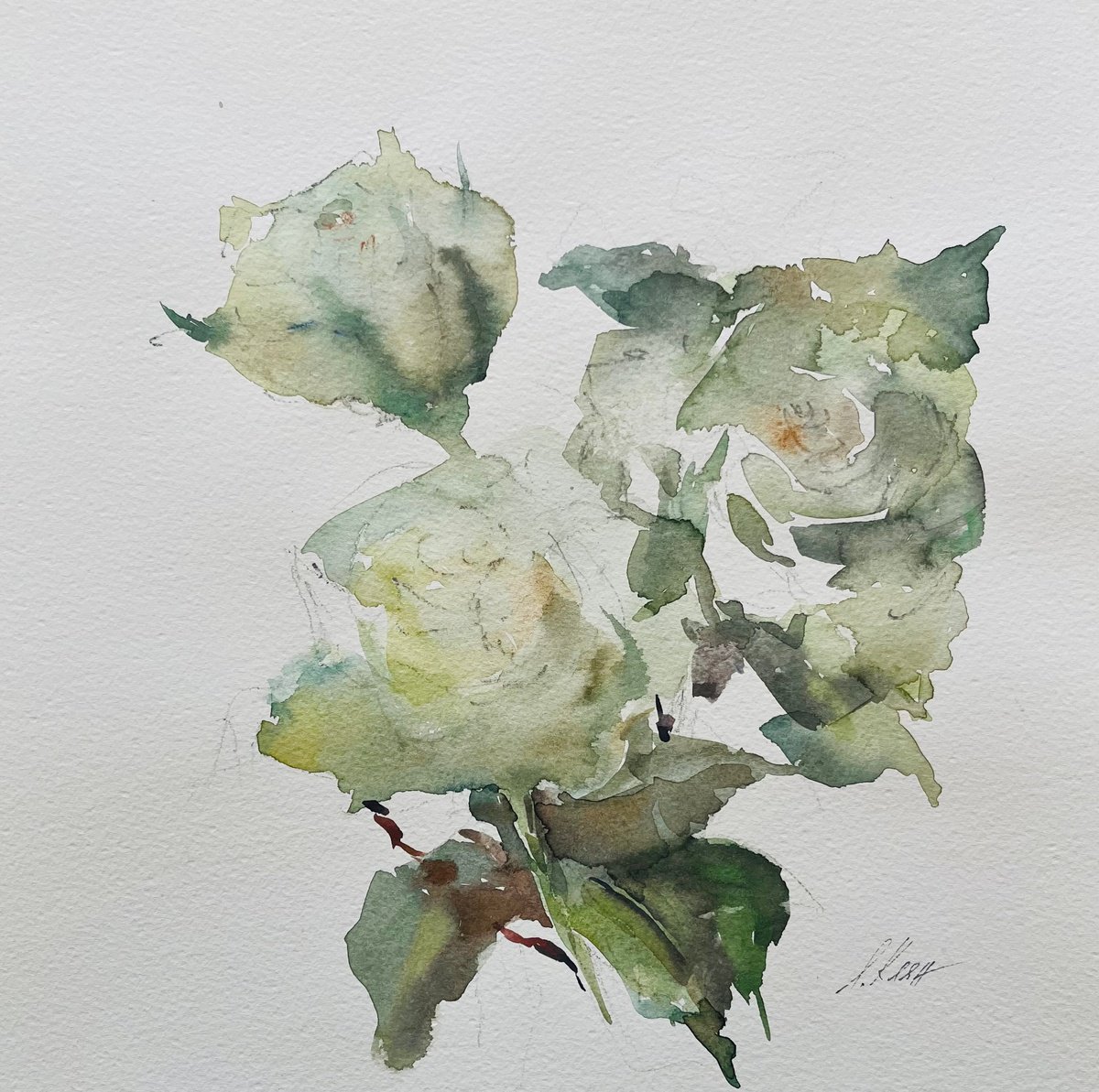 Impressionistic Still Life Painting By Elena Klyan, 12 X 12, Roses 2023, Original Artwork