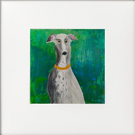 3 greyhound studies