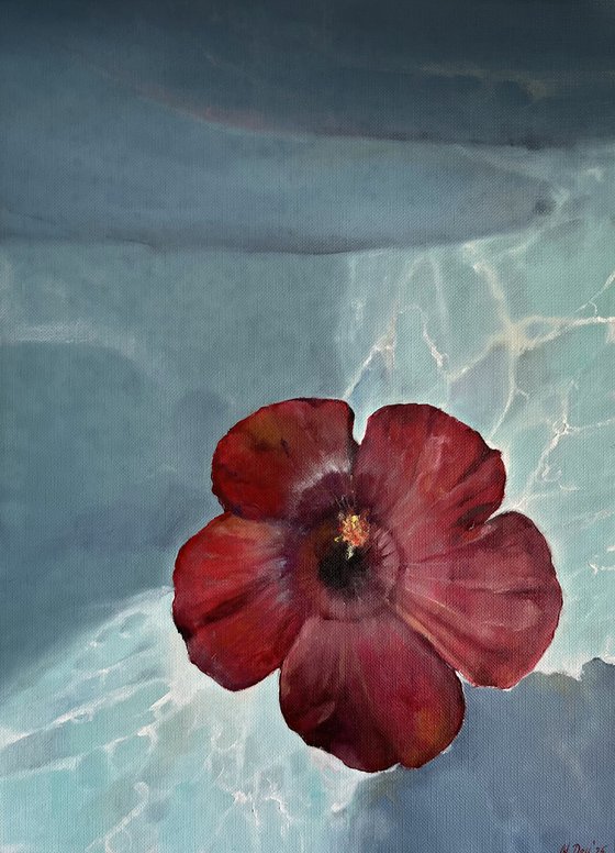 Hibiscus Water Sunlight