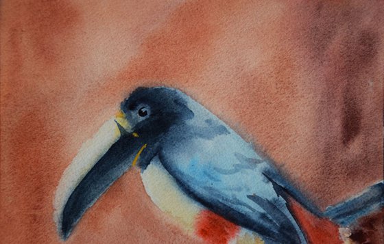 Bird original watercolor painting, tropical birds, gift for animal lover