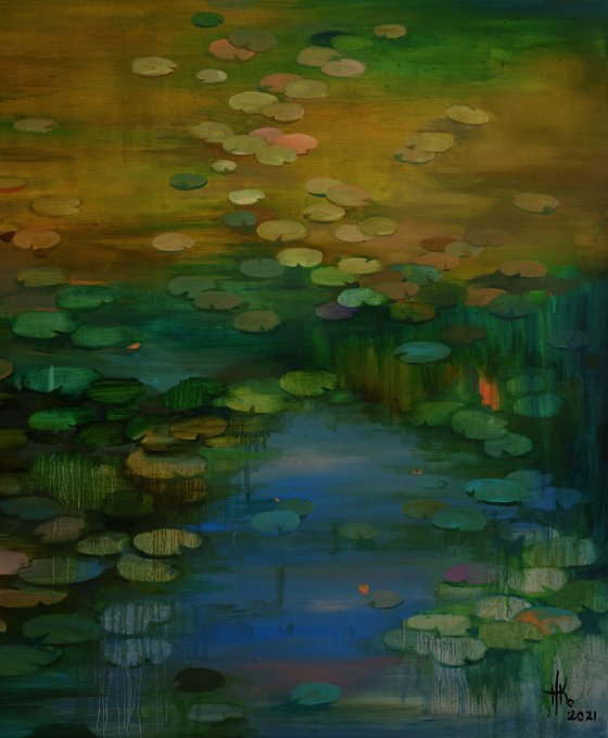 Lily pond. Solstice