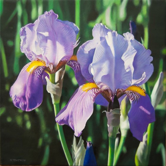 Iris, Flower painting