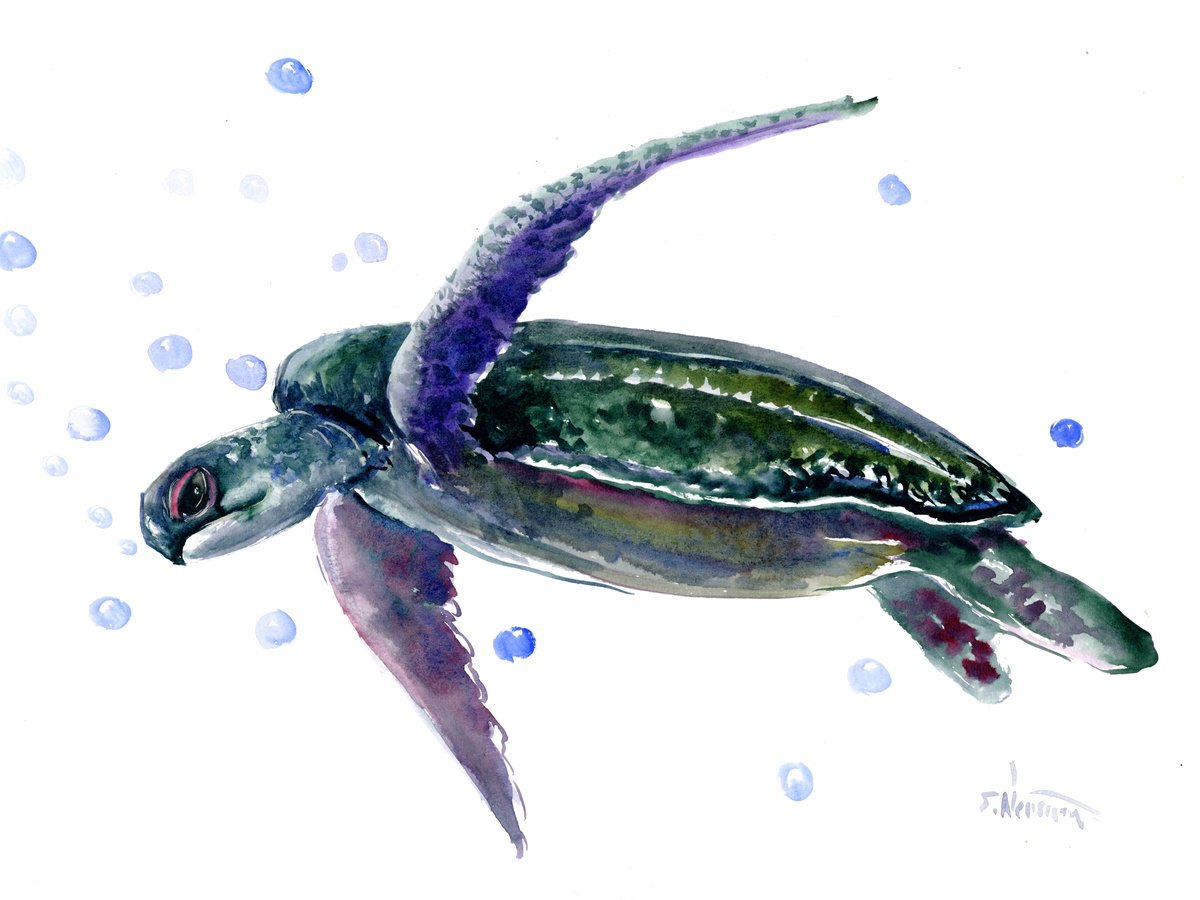 Sea Turtle swimming by Suren Nersisyan