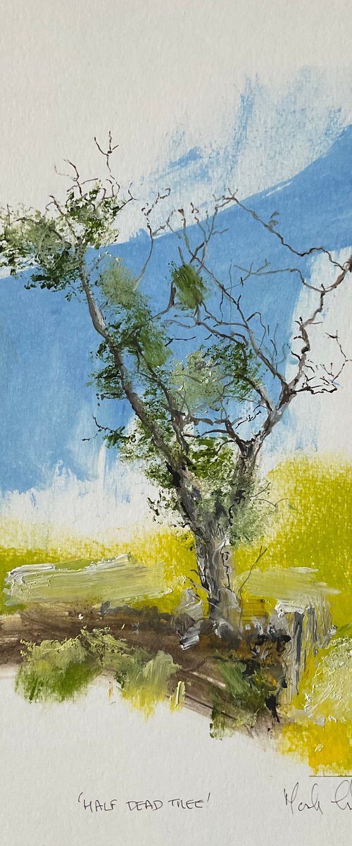 Half Dead Tree by Mark Thirlwell