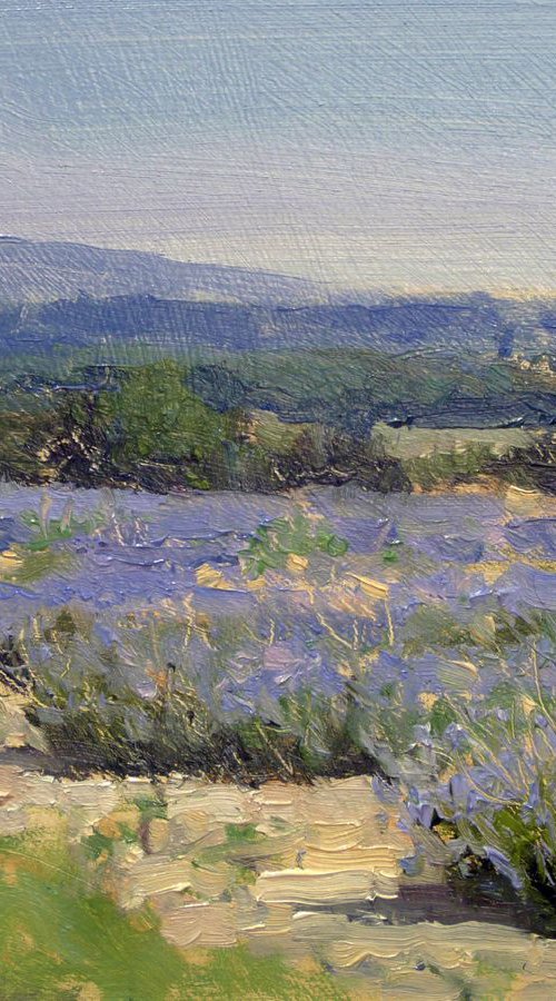 Lavender Fields near Grignan by Pascal Giroud