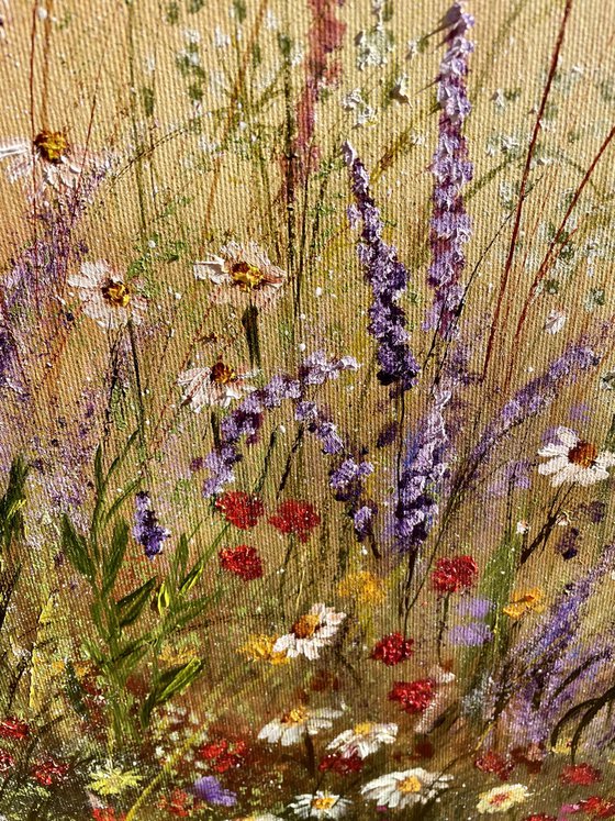 Meadow flowers series