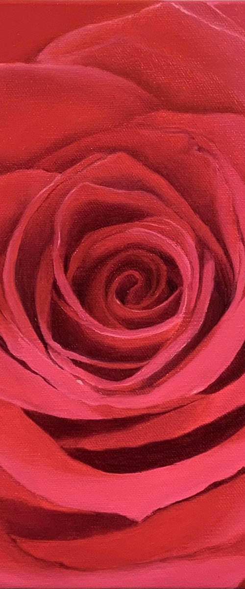 True Love. Rose by Alla Kallass