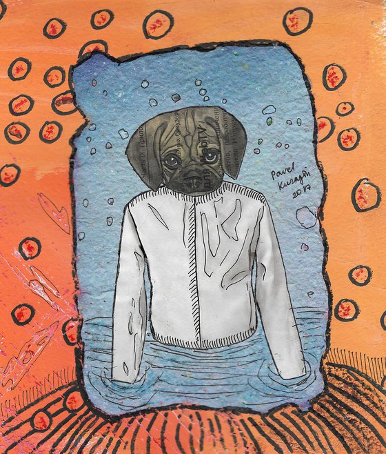 Dog in white shirt