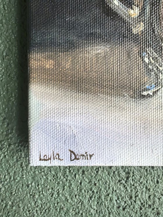 Chamomile wild flowers