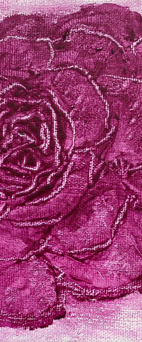 Pink Rose by Alan Horne Art Originals