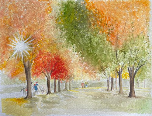 Autumn colours by Maxine Taylor