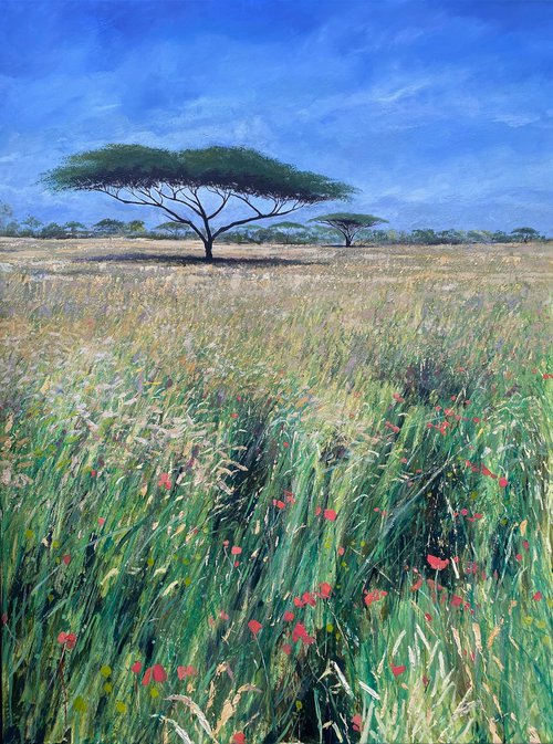 Acacia with Poppies by Simon Jones
