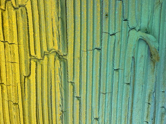 Lichen