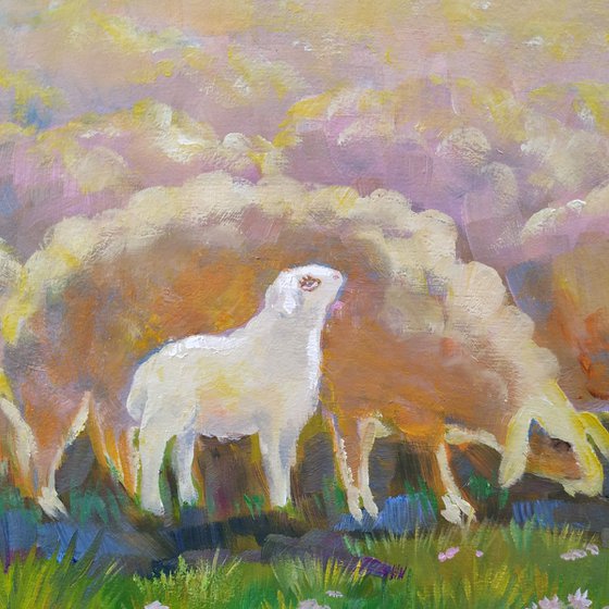 Sheep