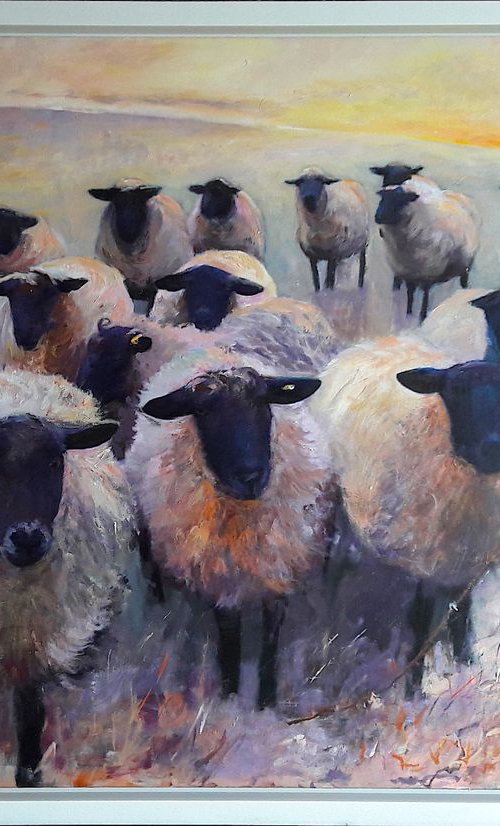 Flock of Sheep, Evening by Teresa Tanner