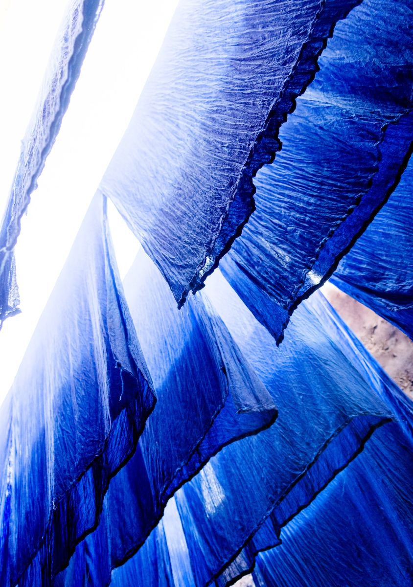 Impressionistic Still Life Photograph By Tom Hanslien, 33 X 47", Dyed Blue, Original Artwork