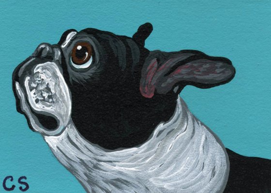 ACEO ATC Original Miniature Painting Boston Terrier Pet Dog Art-Carla Smale