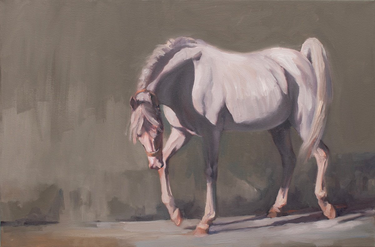 Impressionistic Animal Oil Painting By Zil Hoque, 30 X 20", Arabian White Light, Original Artwork