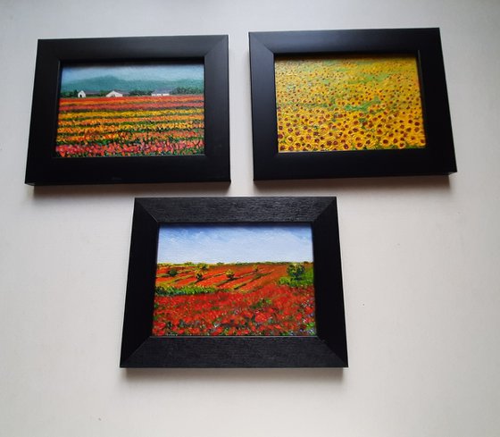 Set of Three Floral Meadows