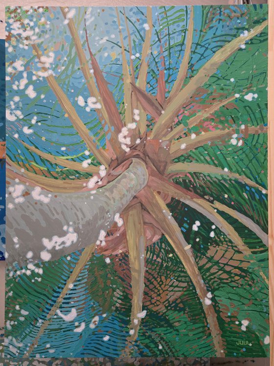 Palm Reflections- Calm Lake