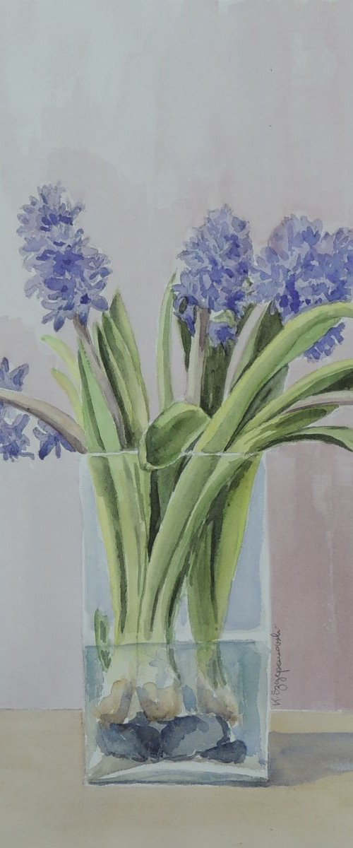 Hyacinths in a vase by Krystyna Szczepanowski