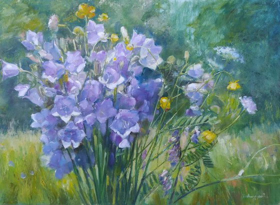 Bluebells in the forest