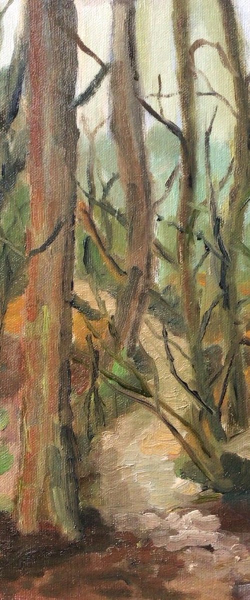 In the forest by Julian Lovegrove Art