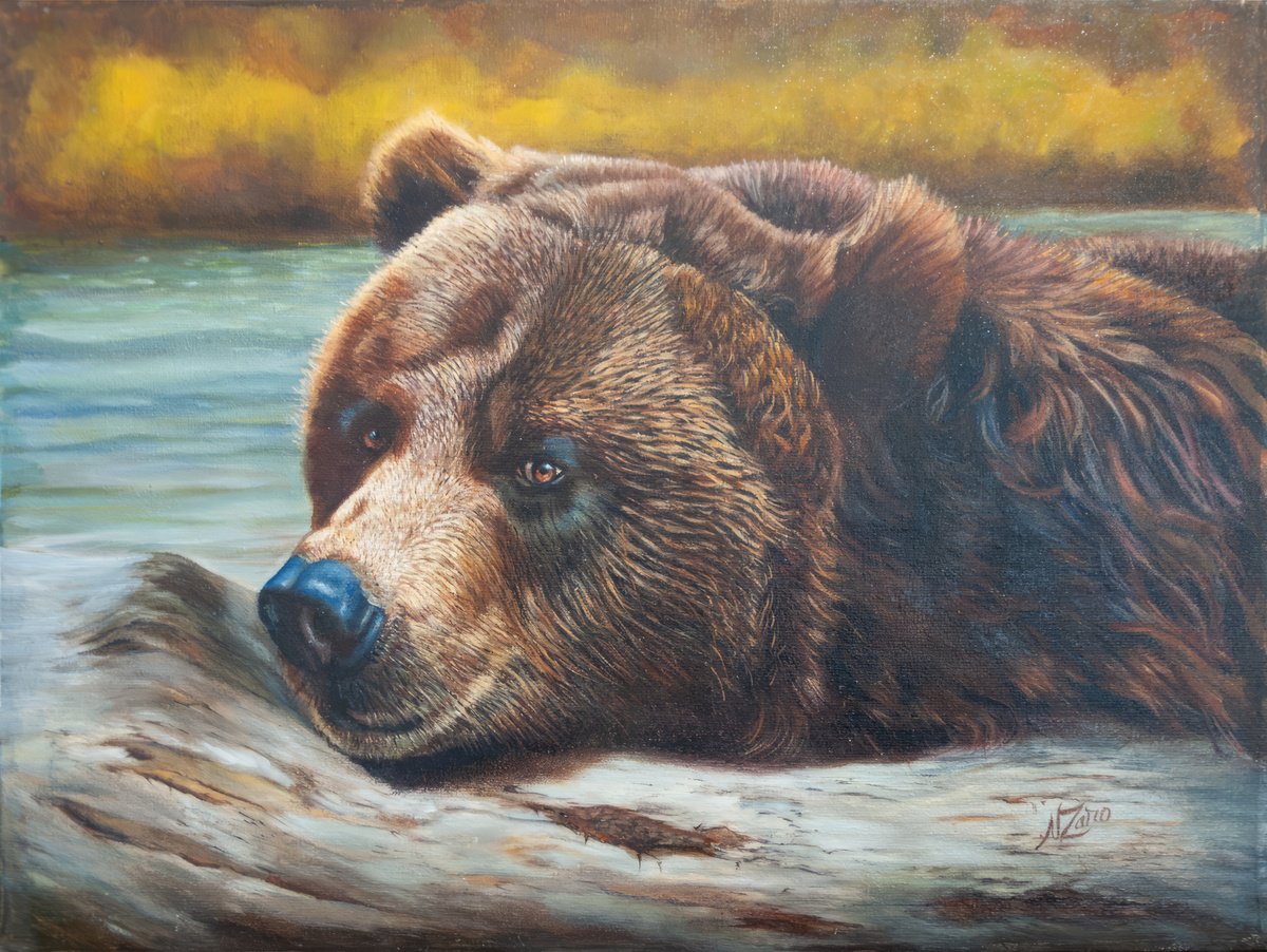 Photorealistic Animal Oil Painting By Norma Beatriz Zaro, 16 X 12", Bear Portrait, Original Artwork